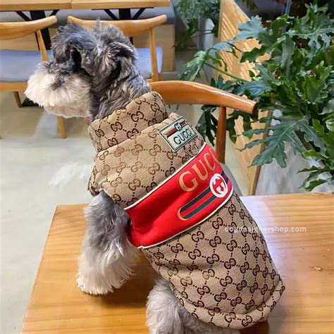 replica dog carrier gucci|designer dog coats gucci.